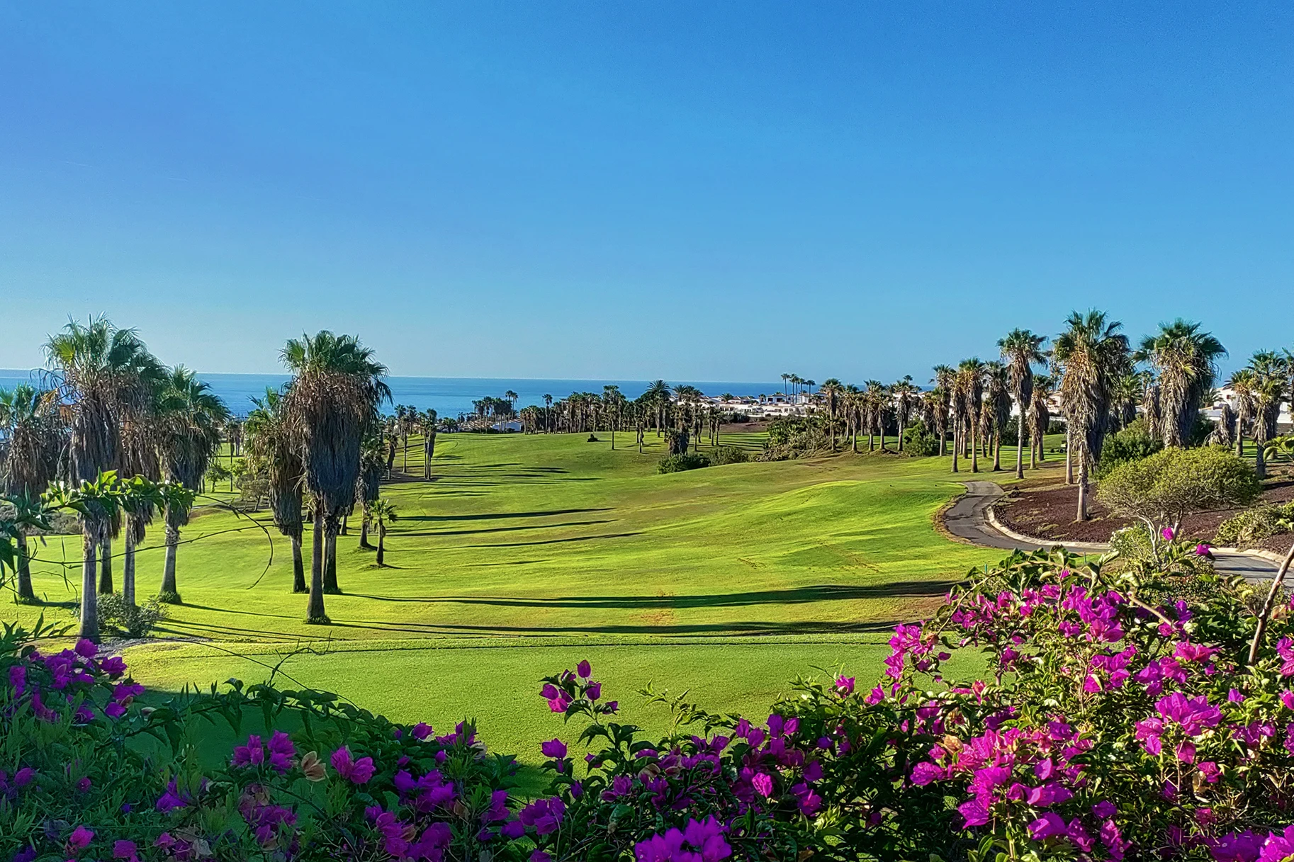 Grön golfbana med palmer och havsutsikt i Golf del Sur på Teneriffas soliga sydkust