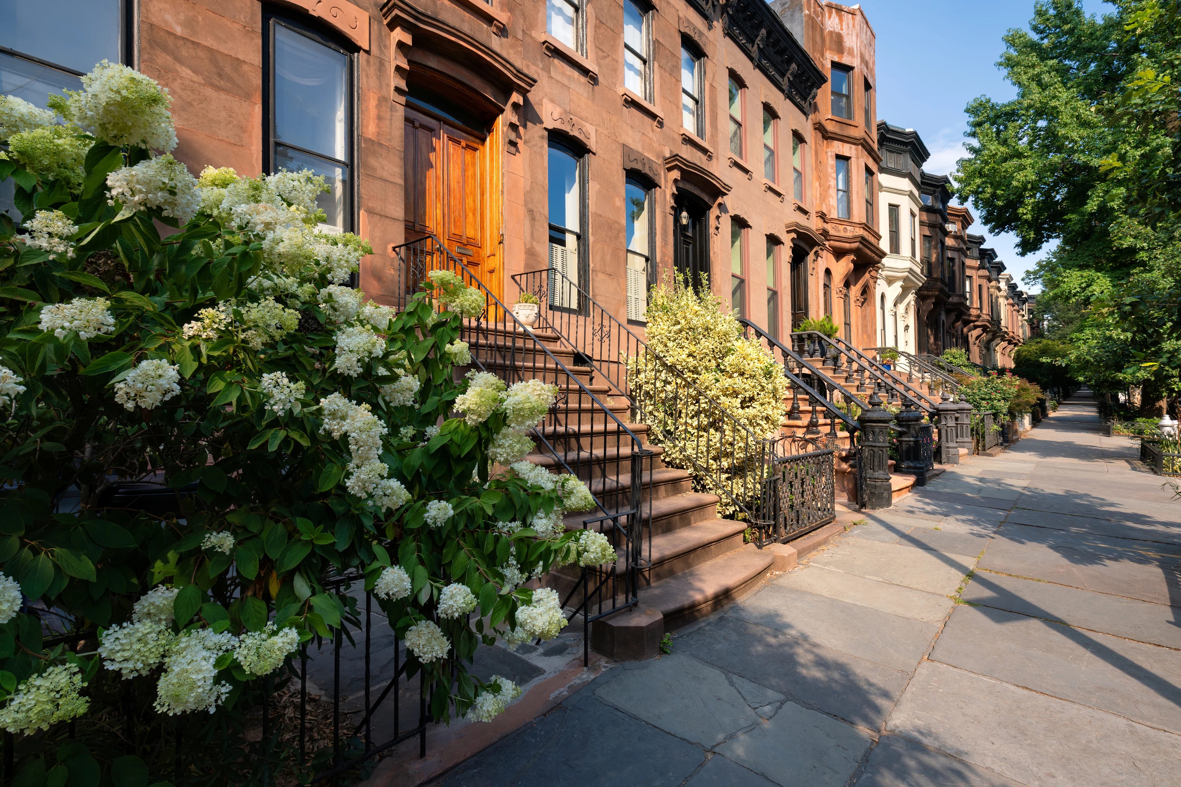 Charmerende gade med historiske brownstone-huse i Brooklyn, New York.