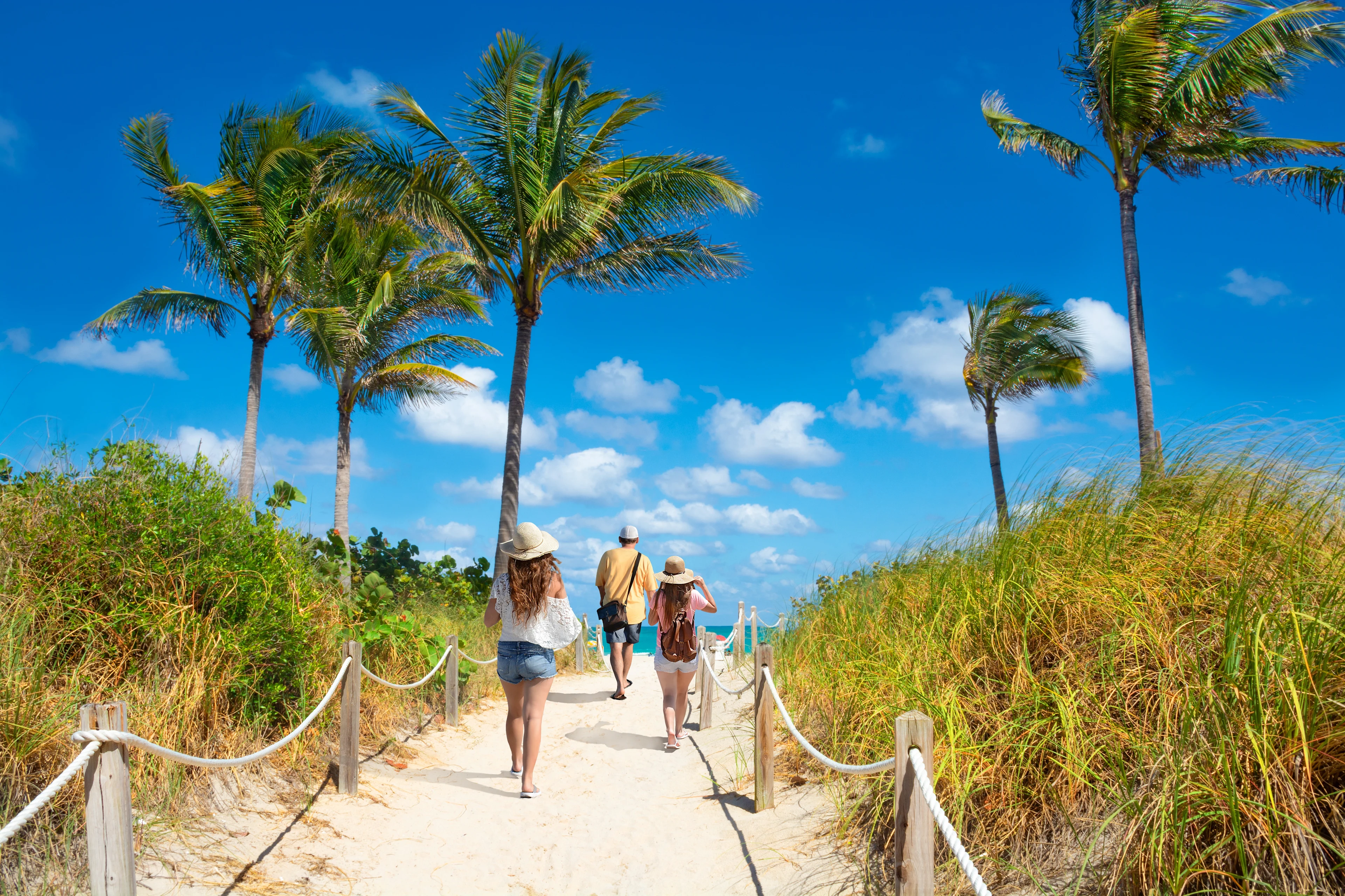 Familj promenerar längs en sandstig kantad av palmer och sanddyner på väg mot stranden i Miami Beach.