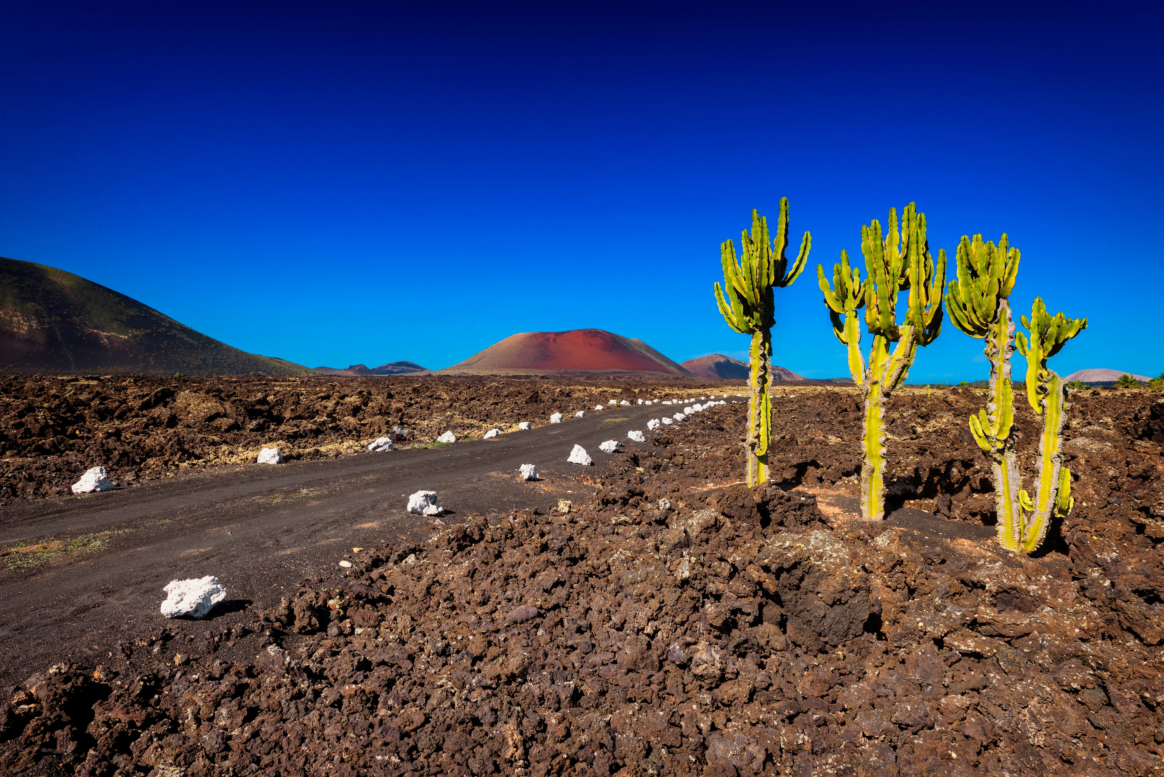 Vulkanlandskap i Timanfaya nasjonalpark på Lanzarote med lavafelt, kaktus og den røde vulkanen Montaña Colorada i bakgrunnen.