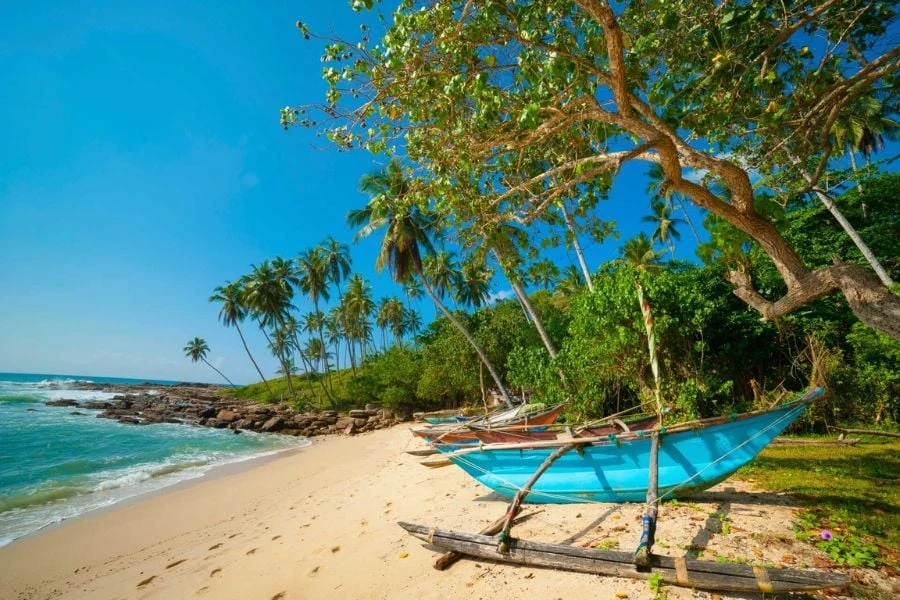 Sri Lankan ranta