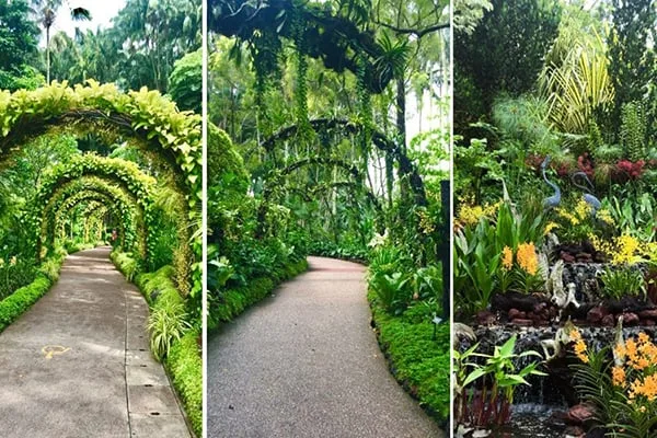 Singapore Botanic Garden