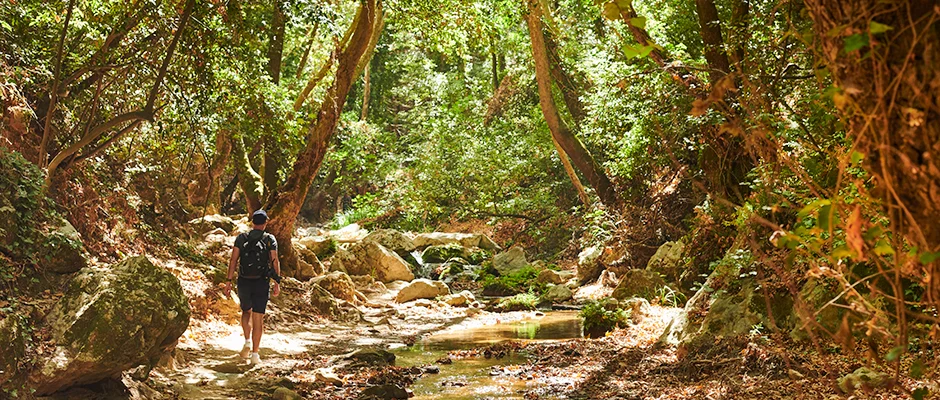 vandring i skogen på samos