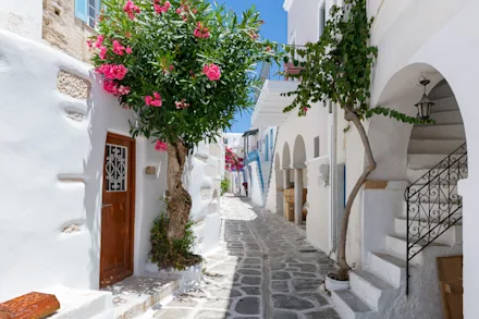 Gata på Paros med vitkalkade hus och blommande träd