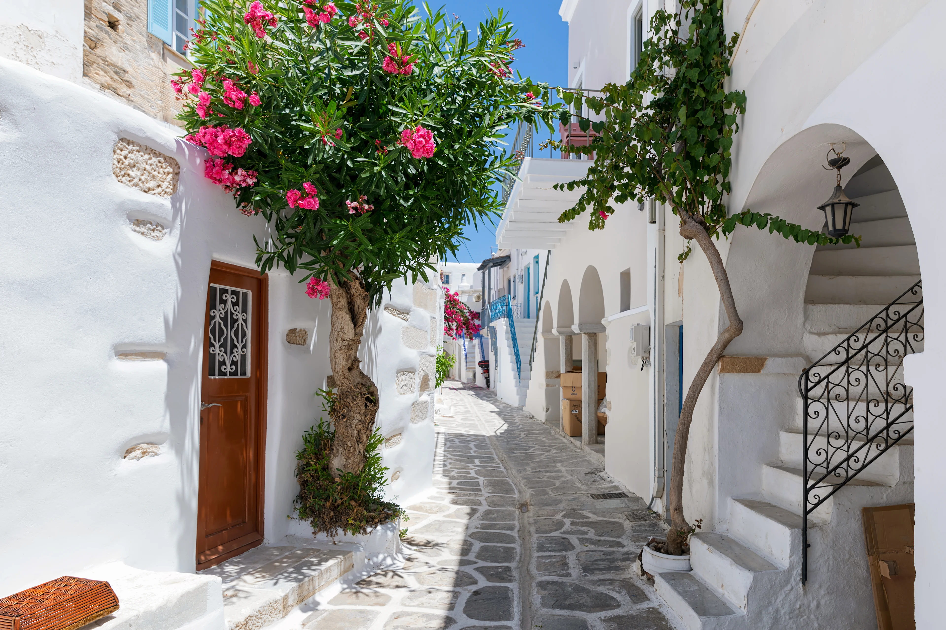 Gata på Paros med vitkalkade hus och blommande träd