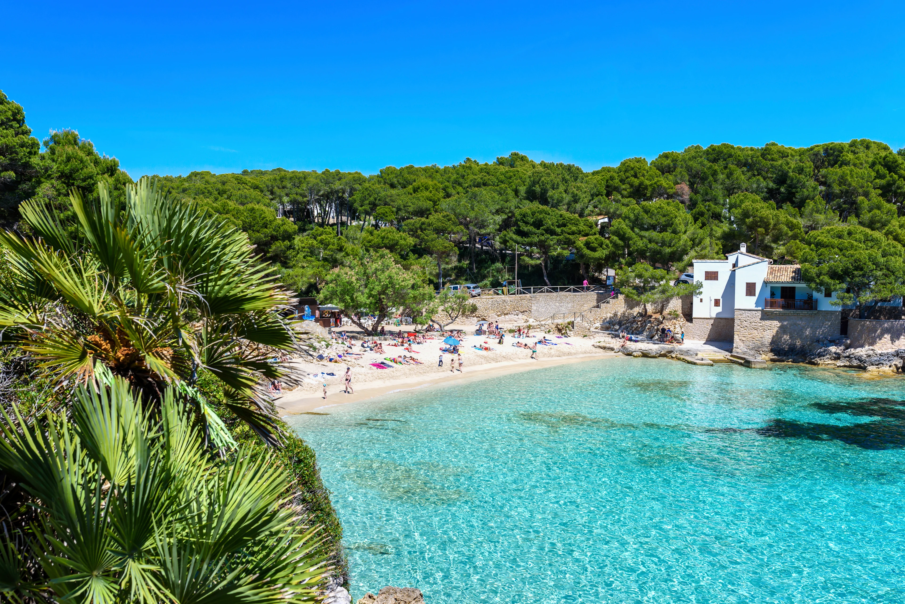 Turkost vatten vid stranden Cala Ratjada på Mallorca