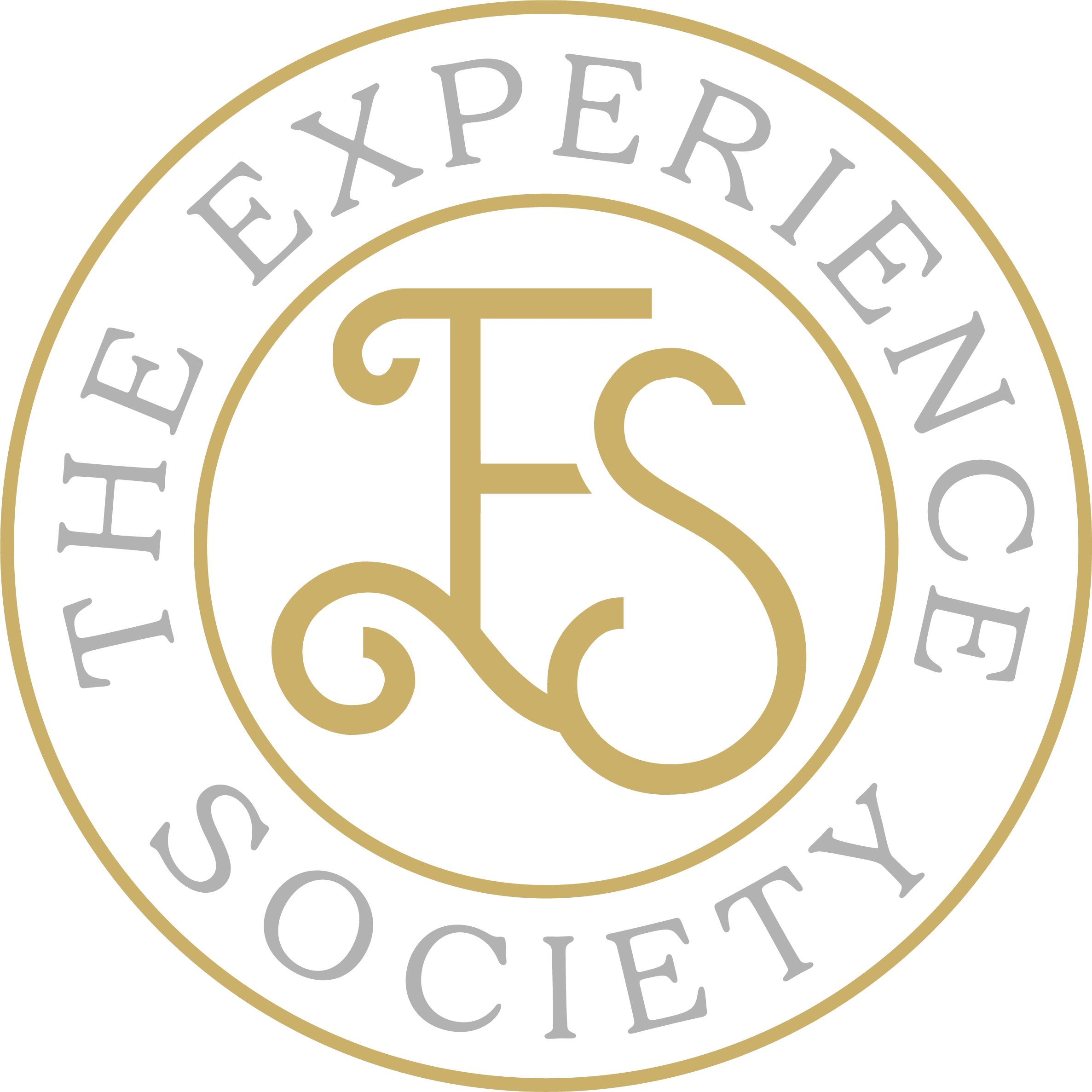 the-experience-society-logga