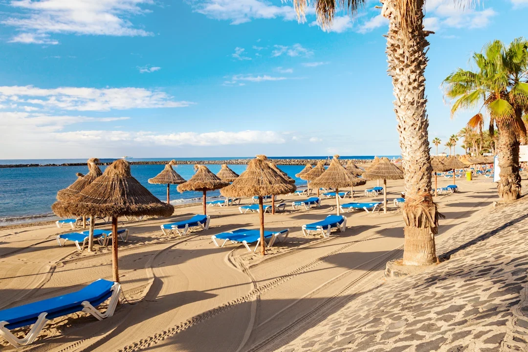 Sandstrand med parasoller og palmer på Tenerife, med solsenger ved havet og utsikt over Atlanterhavet.