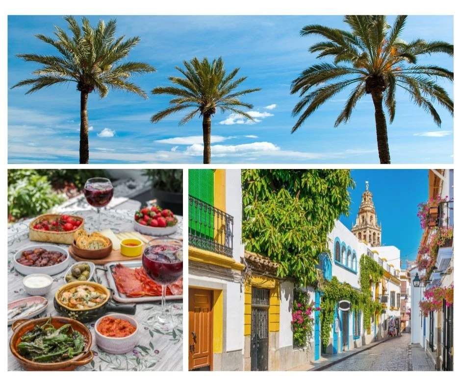 Collage med motiv från Costa del Sol: palmer mot blå himmel, tapasrätter på ett bord och en färgstark gata med traditionella byggnader.