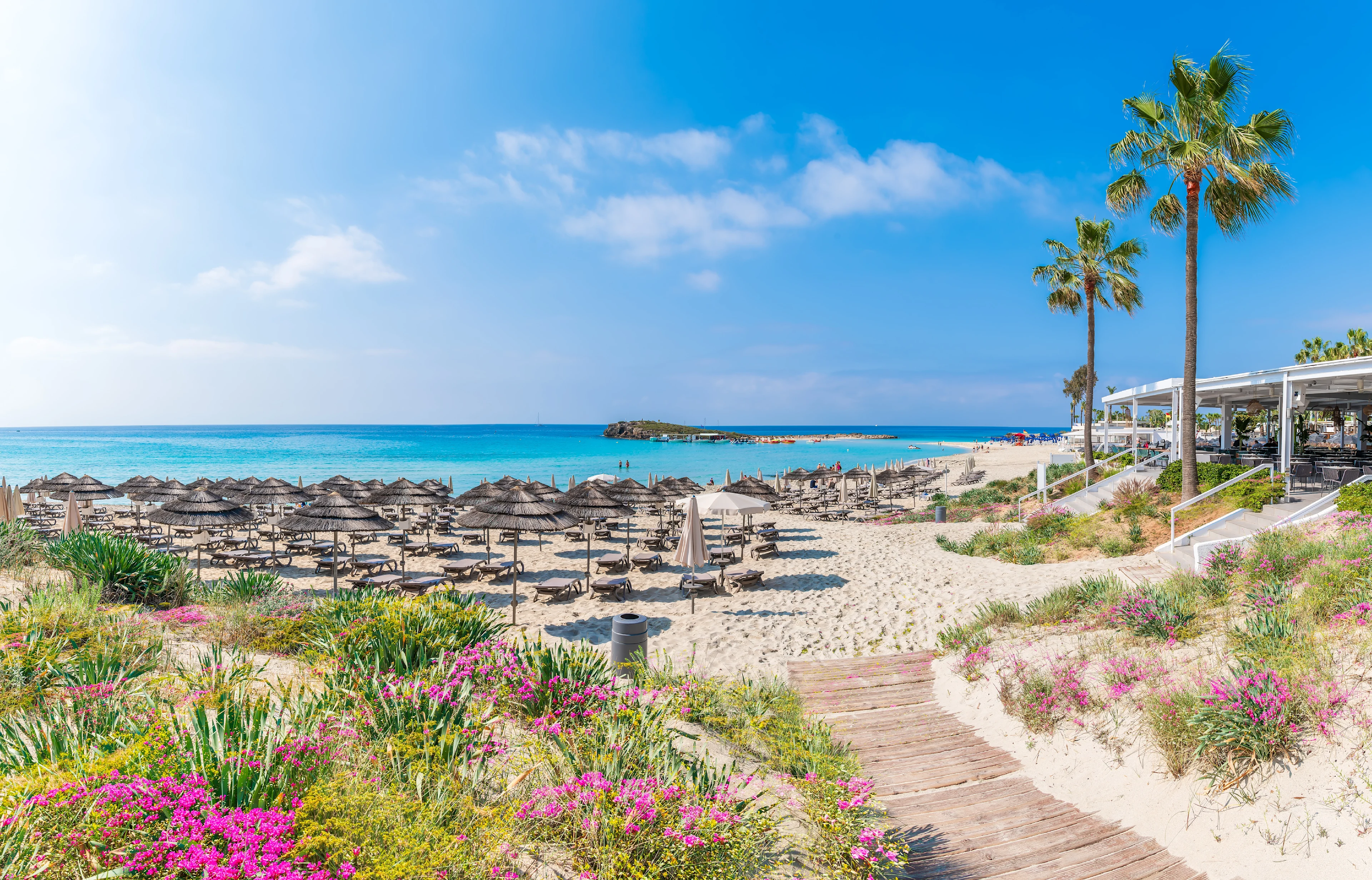 Roze bloemen, wit zand, palmbomen en ligbedden met parasols op Nissi Beach in Ayia Napa