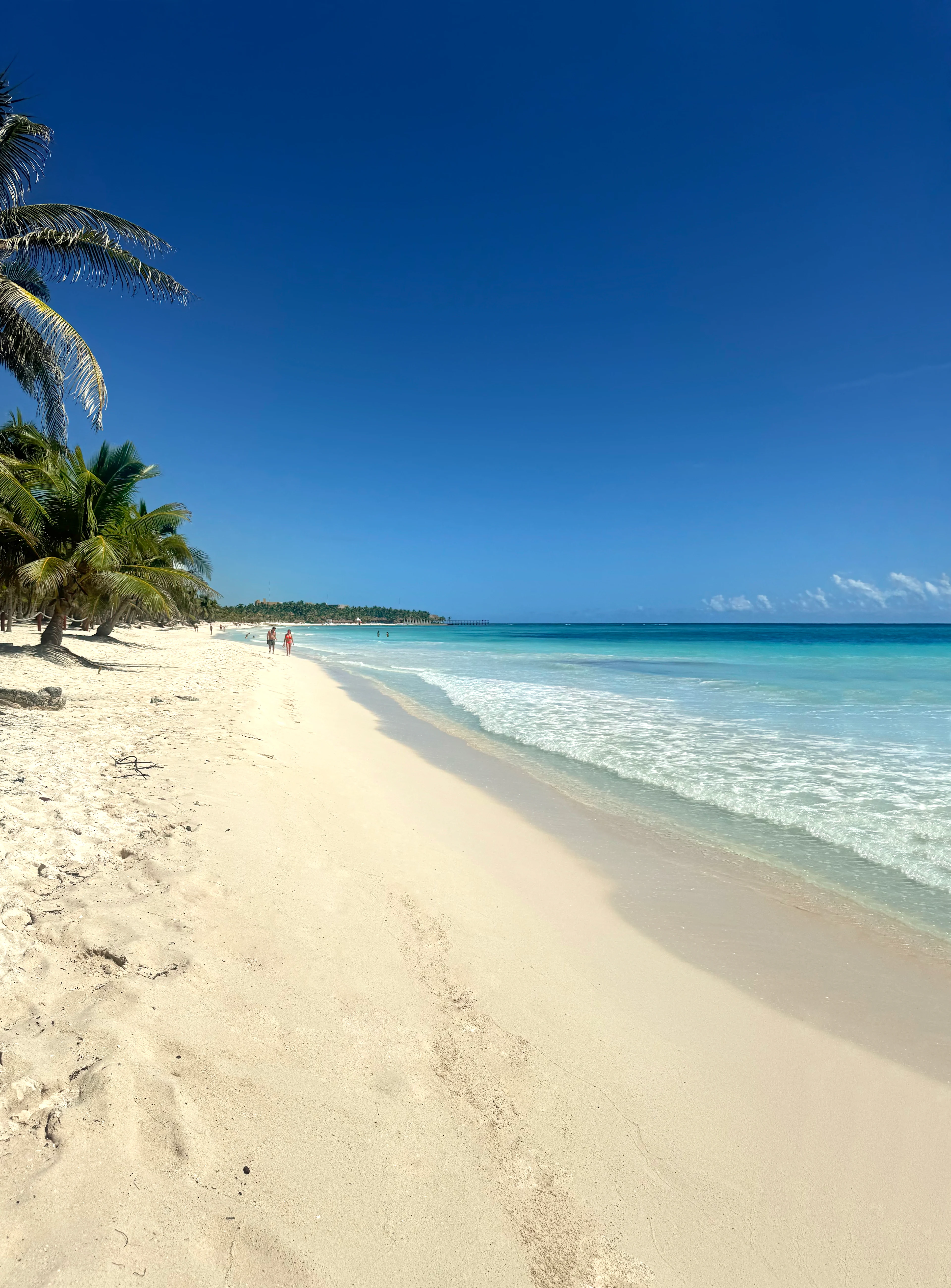 Lång sandstrand i Costa Mujeres med turkost vatten och svajande palmer.