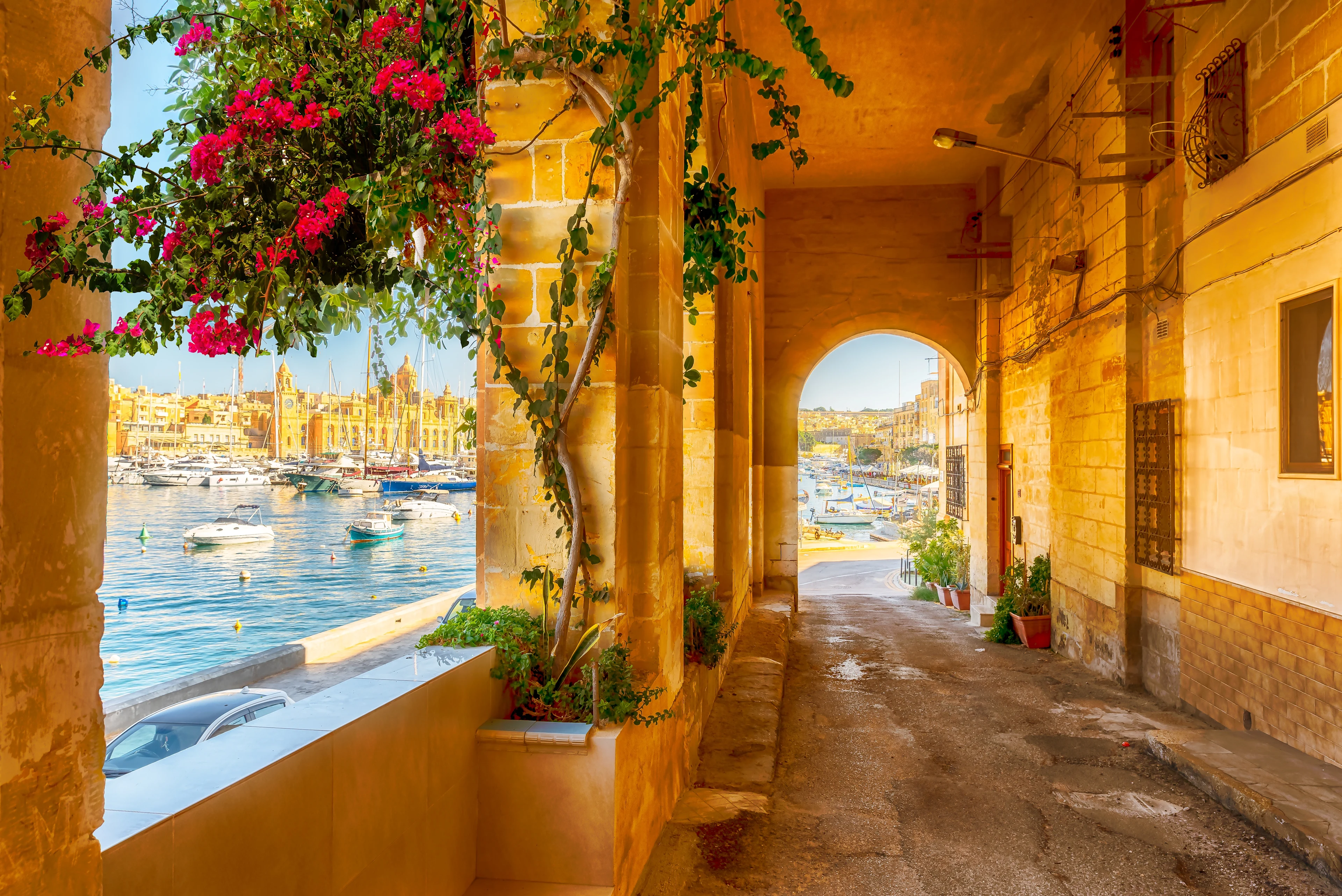 Gatestubb i Vittoriosa (Birgu) på Malta med blomstrende bougainvillea, historiske kalksteinshus og utsikt over Grand Harbour.