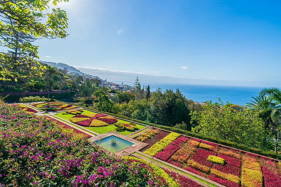 Färgstark trädgård på Madeira med utsikt över kusten och Atlanten