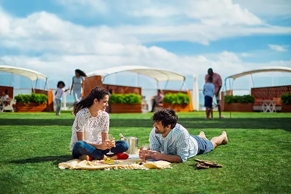 cl-lawn