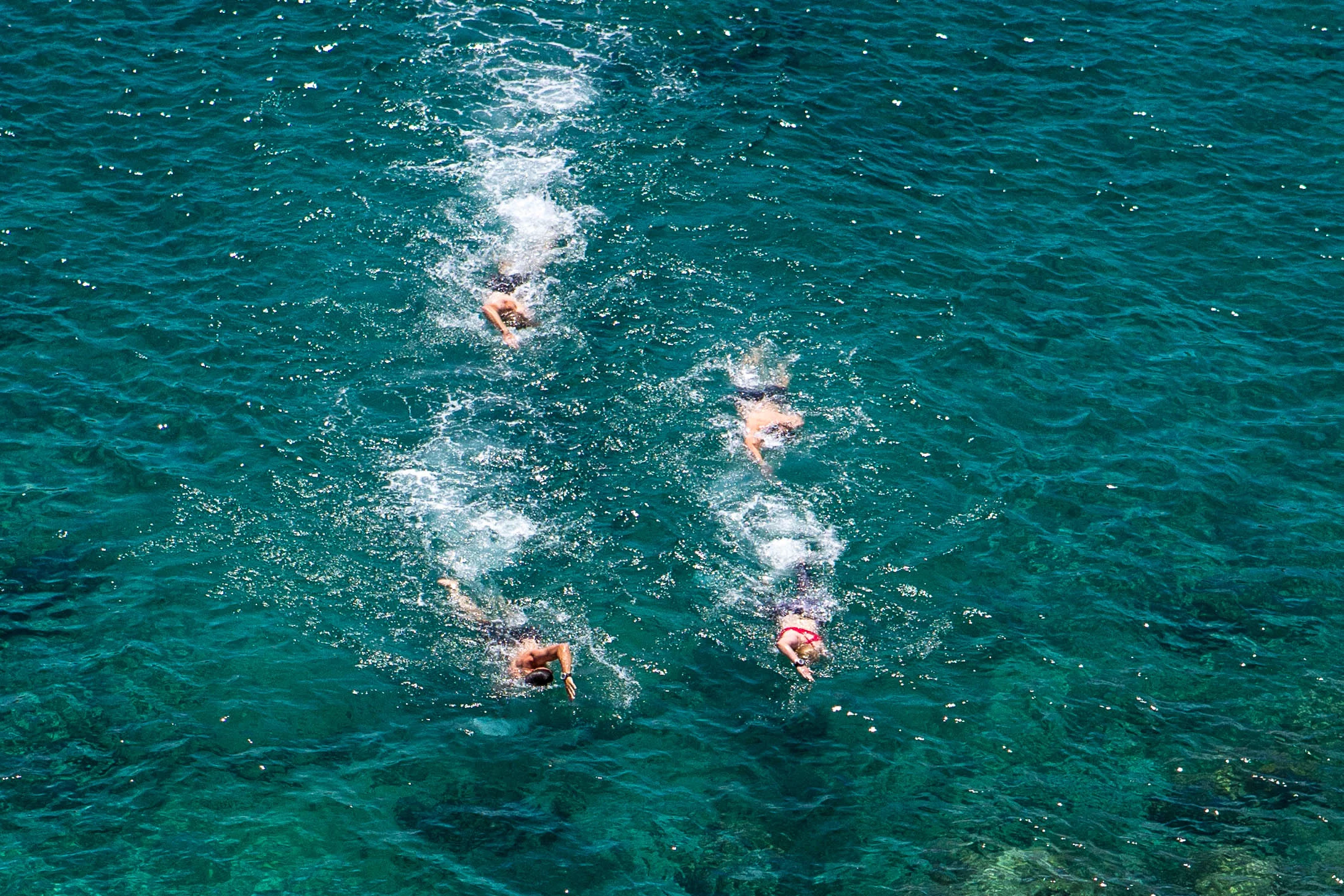 Openwaterzwemmen