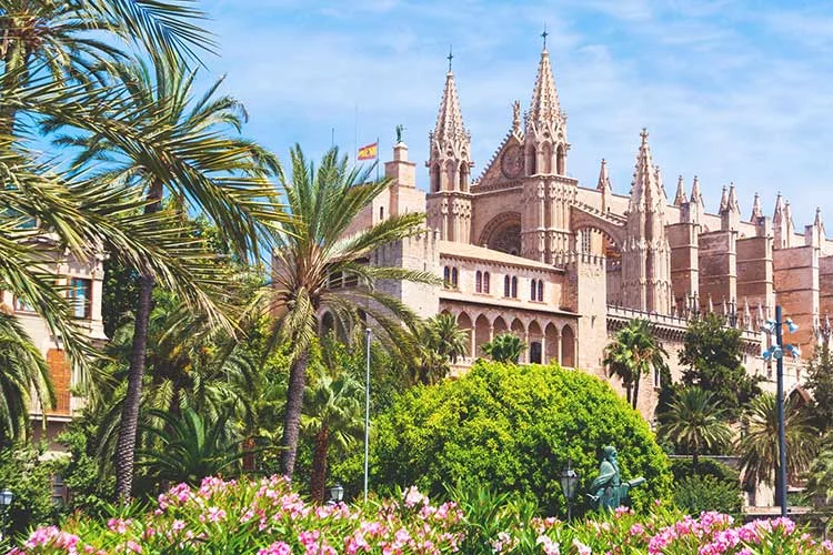 palma katedral