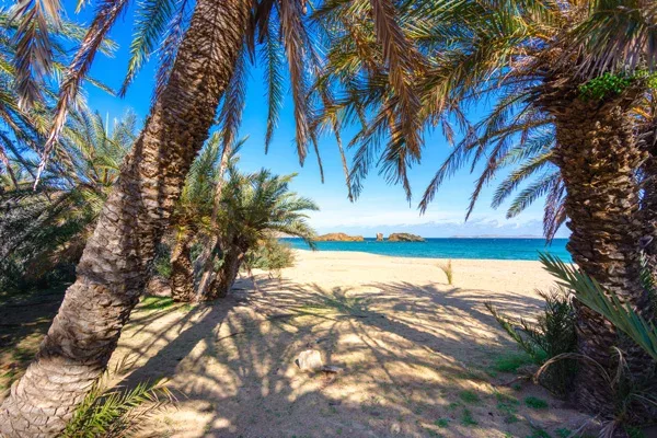 Palmstranden Vai på Kreta