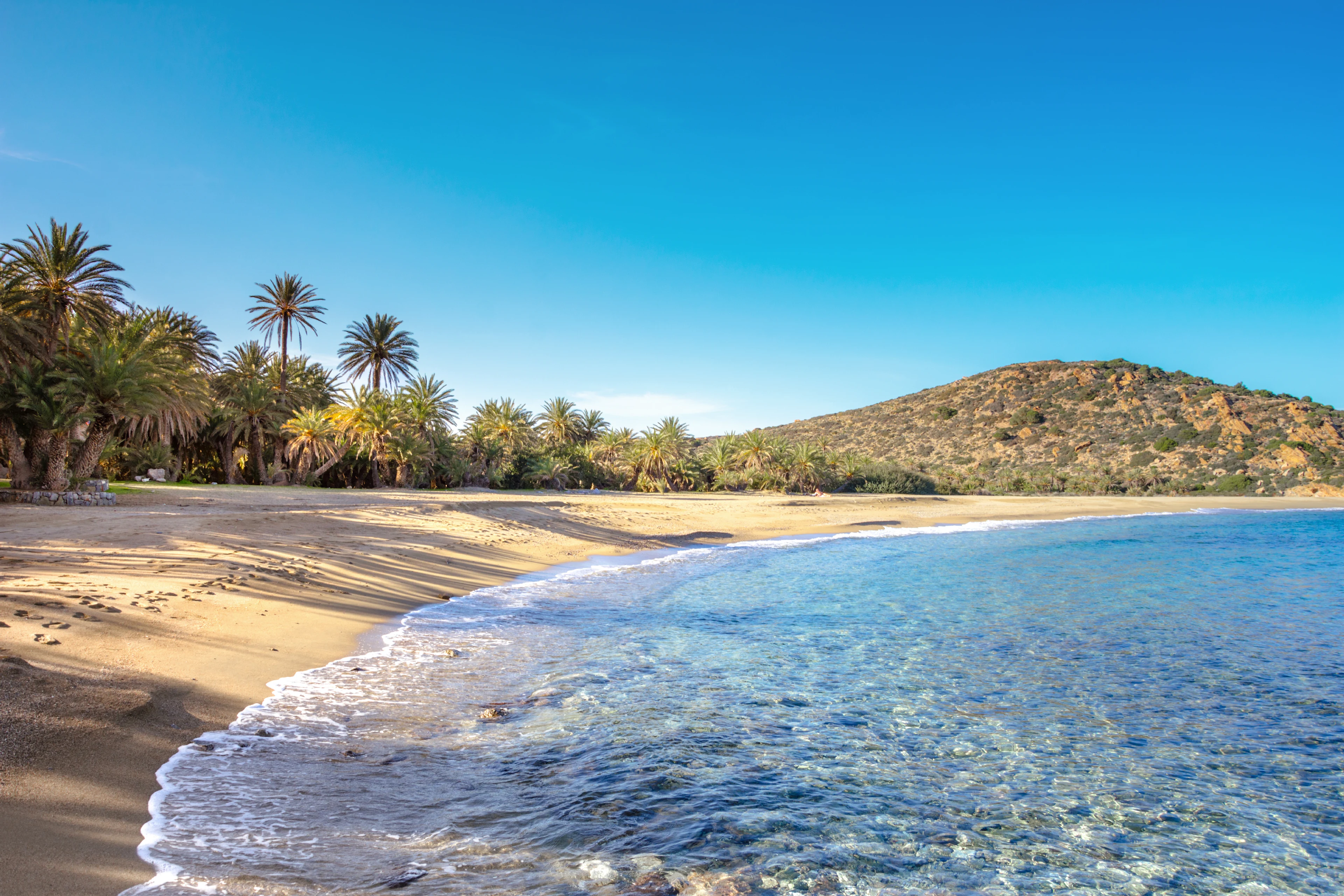 Palmstranden Vai på Kreta
