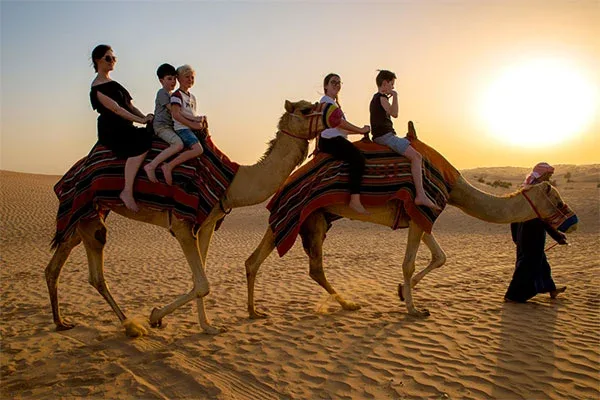 dubai camel safari