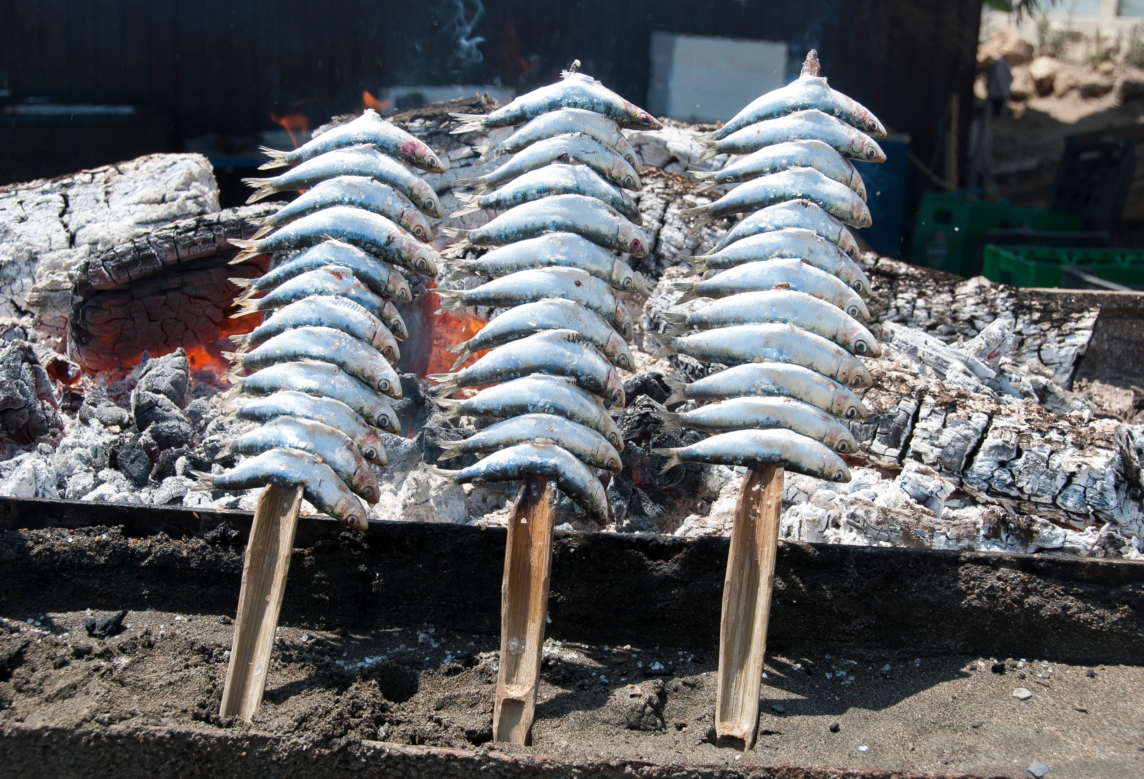 Grillade Sardiner