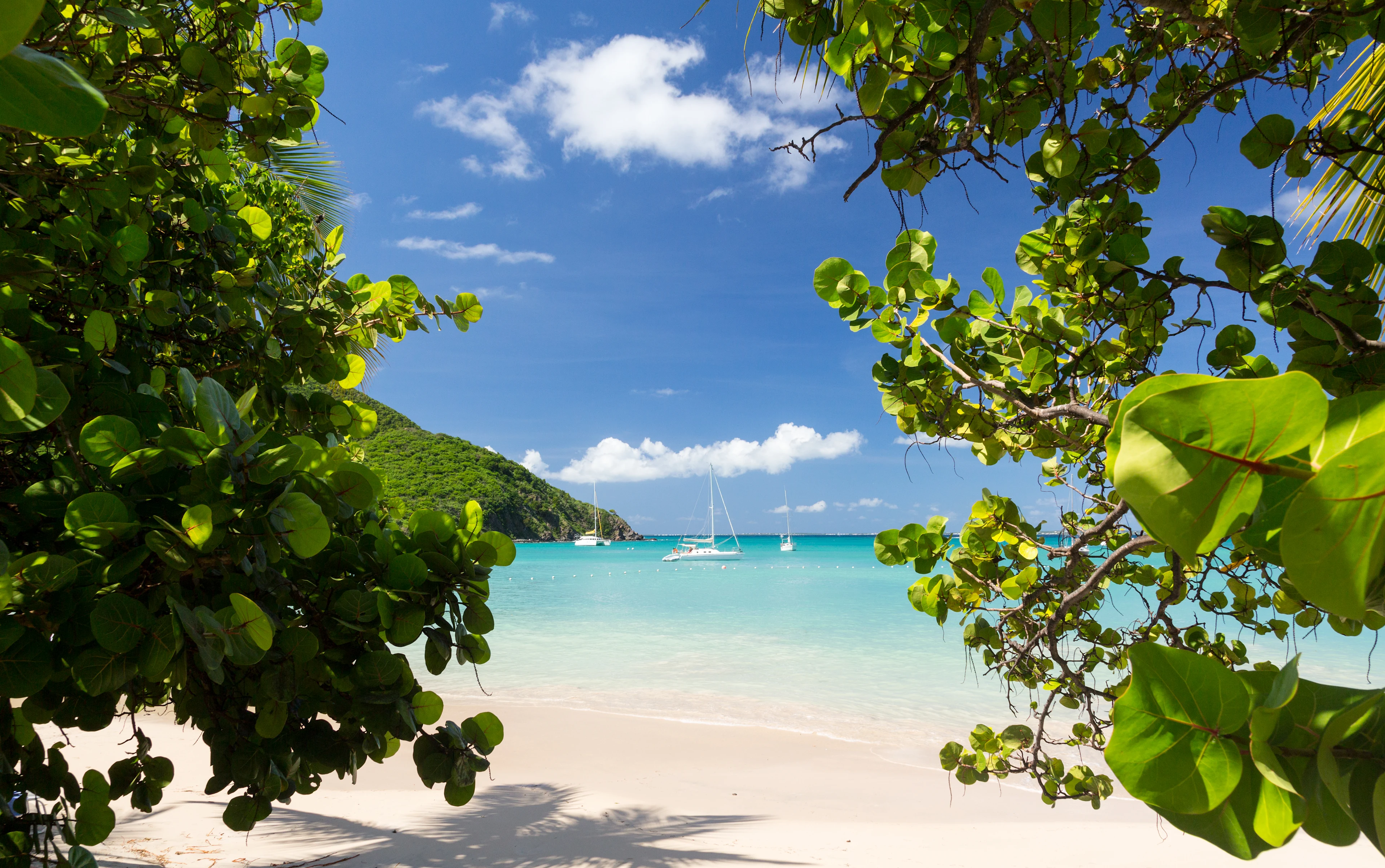Tropisk strand på St. Martin med kritvit sand, kristallklart vatten och segelbåtar.