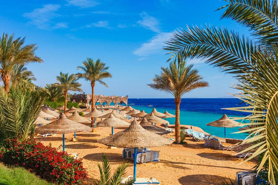 egypt sharm el sheikh strand