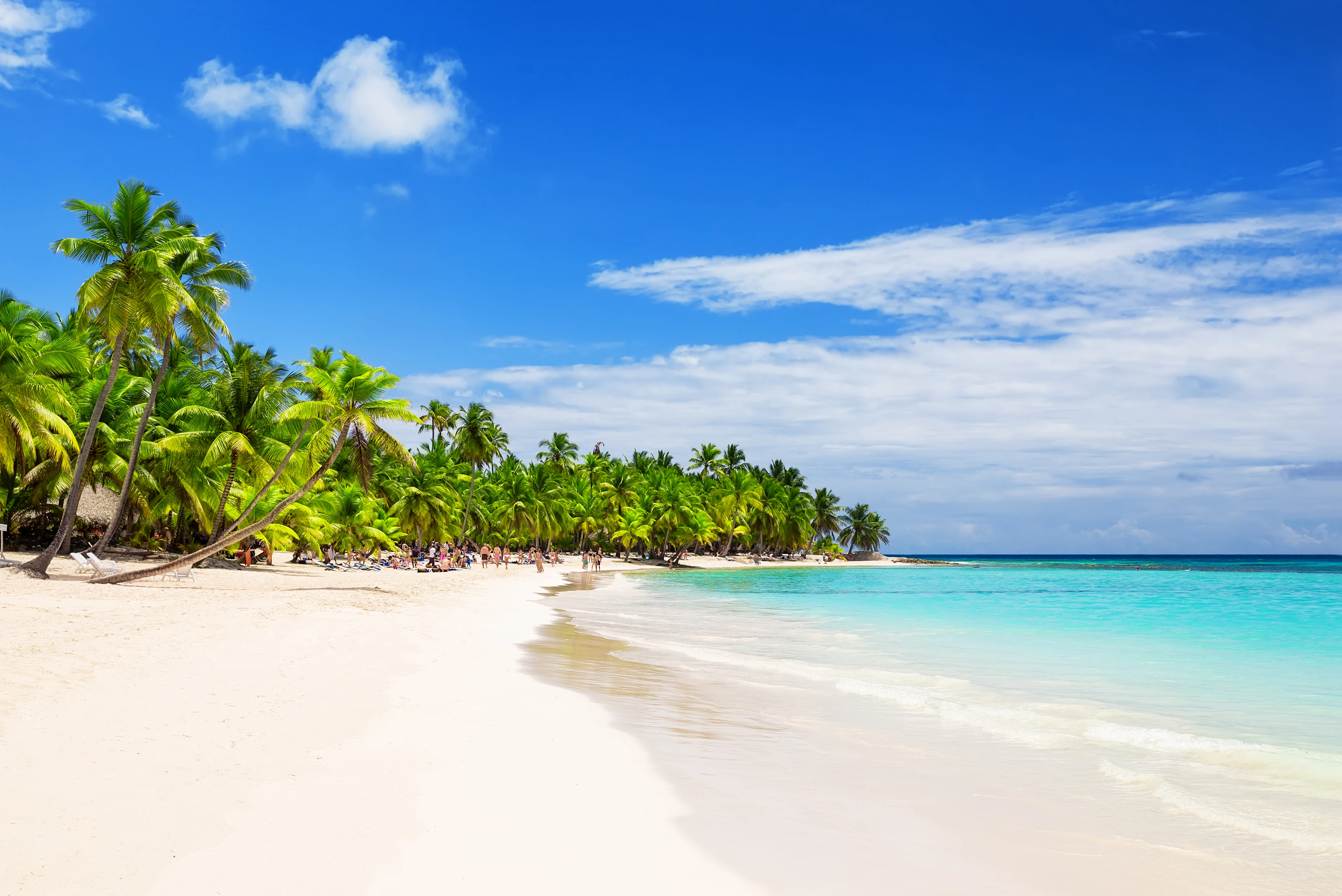 En kritvit sandstrand som kantas av palmer i Punta Cana, Dominikanska republiken