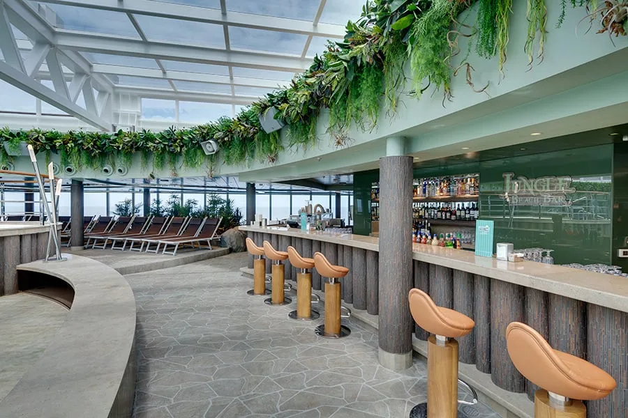 MSC Seaview junglebar 