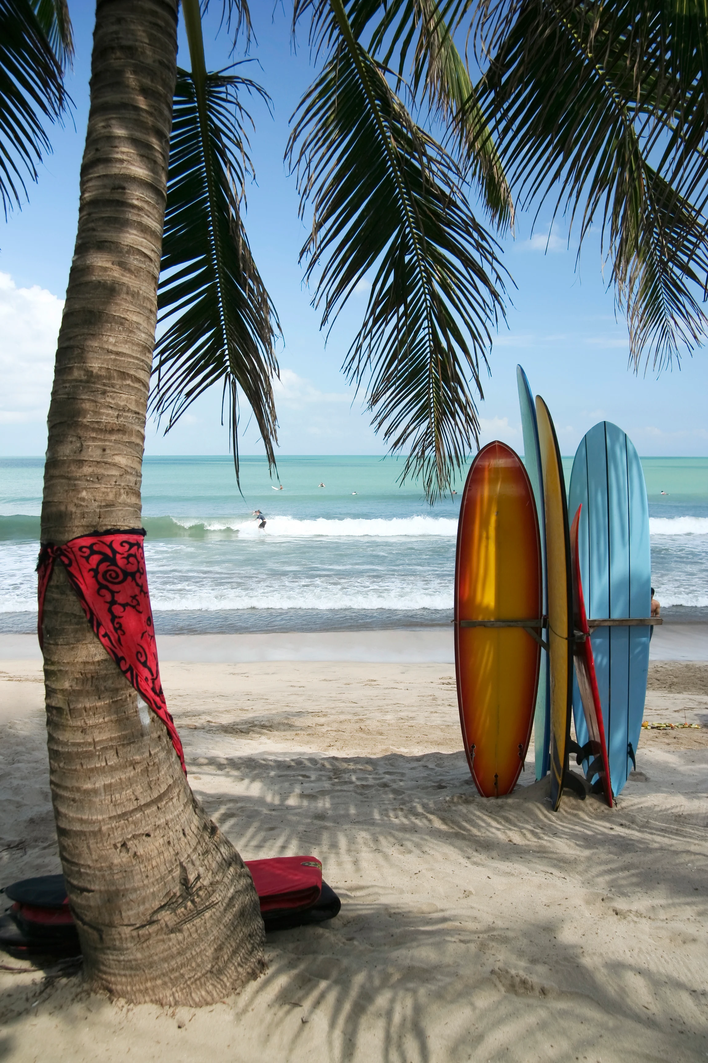 Surfebrett under et palmetre på en strand på Bali