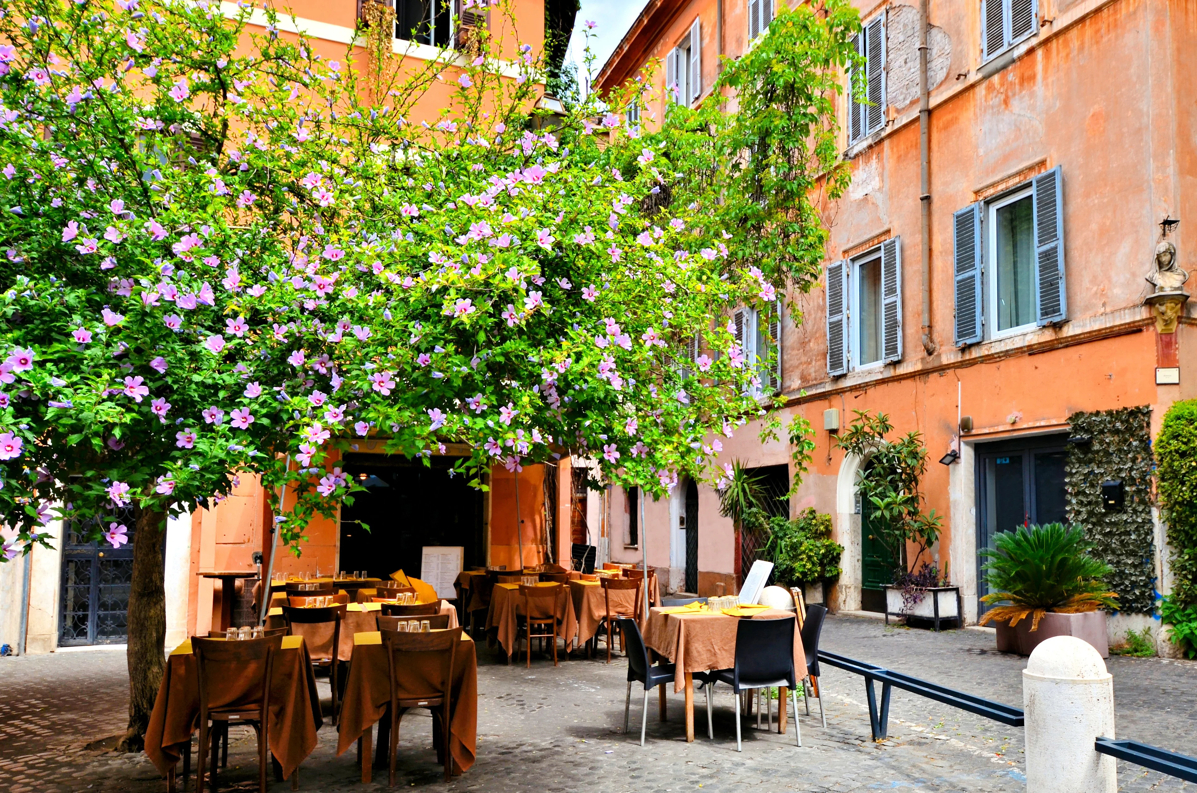 Charmig restaurang i Rom, Italien