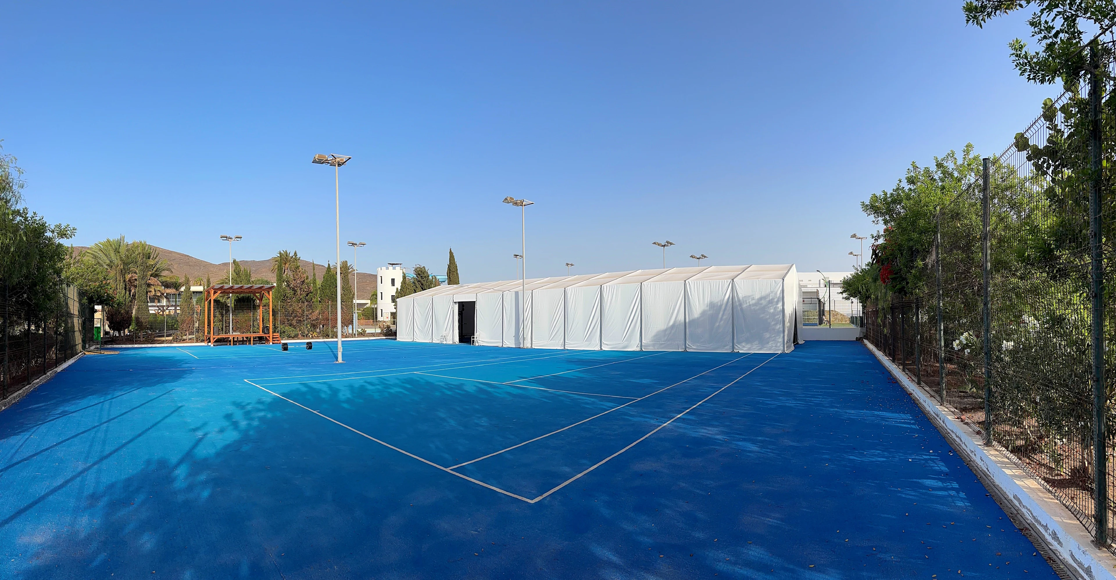 Hybrid court