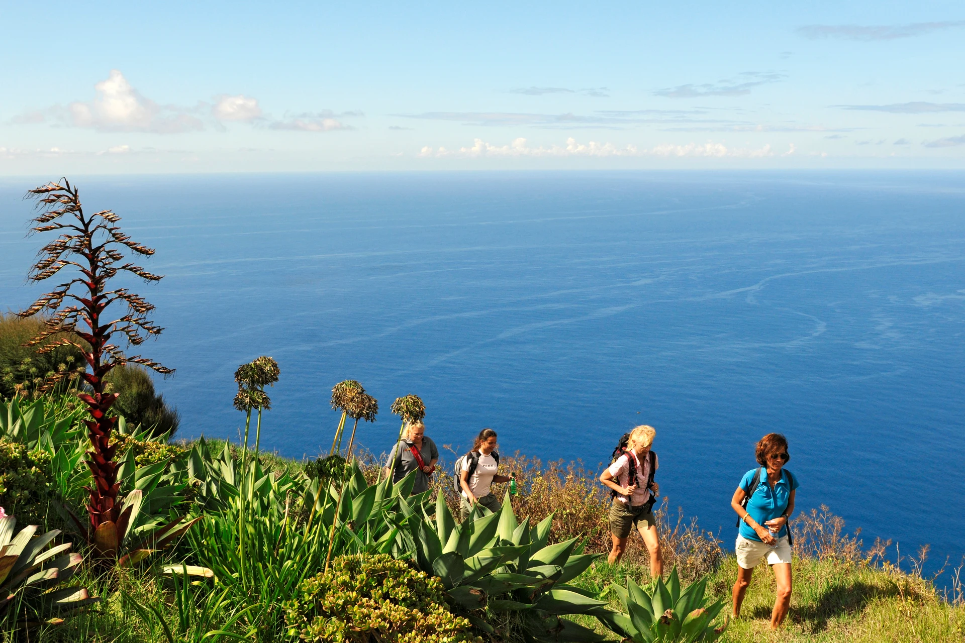 En grupp personer som vandrar längs en grönskande kust på Madeira