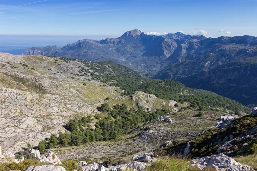 espanja-mallorca-vaellus-puig-des-teix