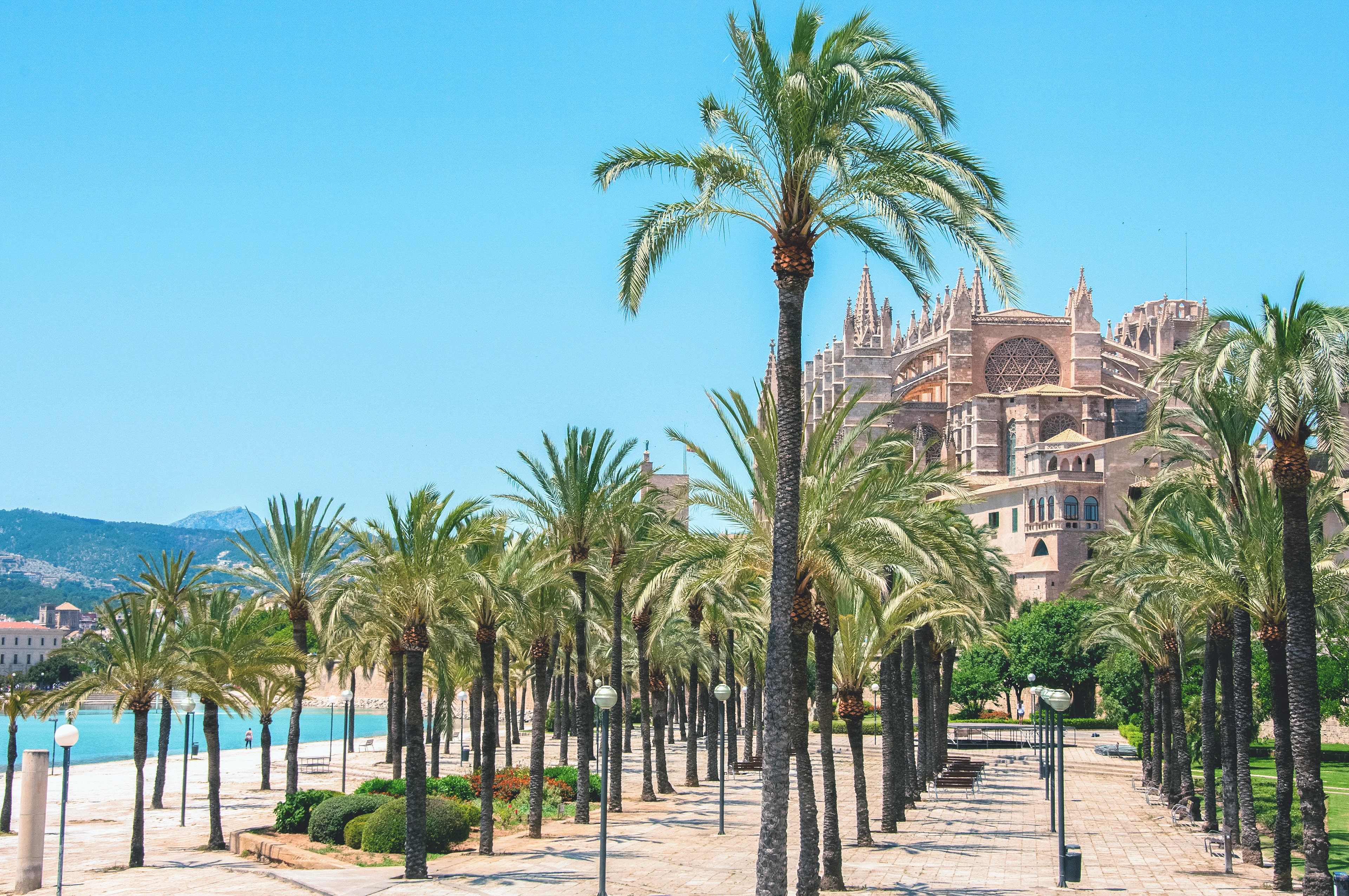 Palmallé i Palma de Mallorca med katedralen La Seu i baggrunden.
