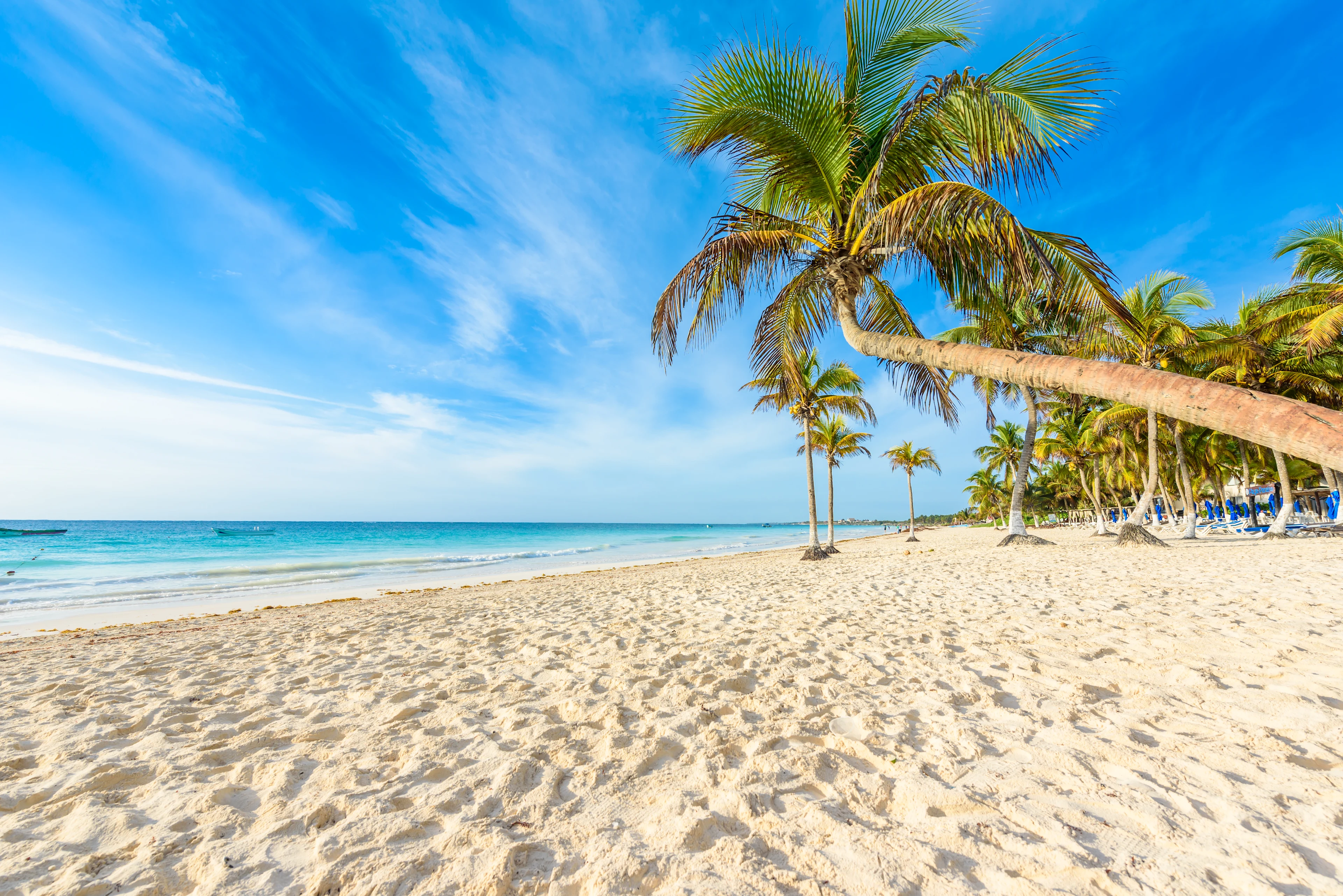 Kritvit sandstrand med turkost vatten och vajande palmer på Playa Paraiso i Tulum.