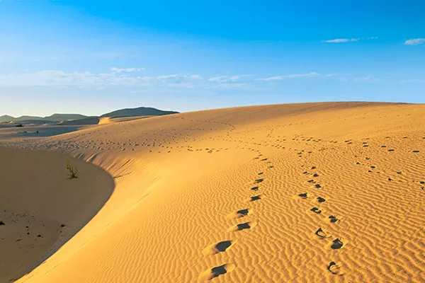 sand dunes