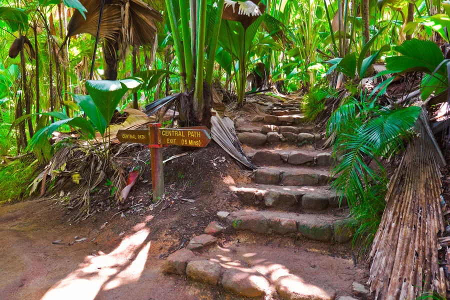 nationalparken Vallée de Mai