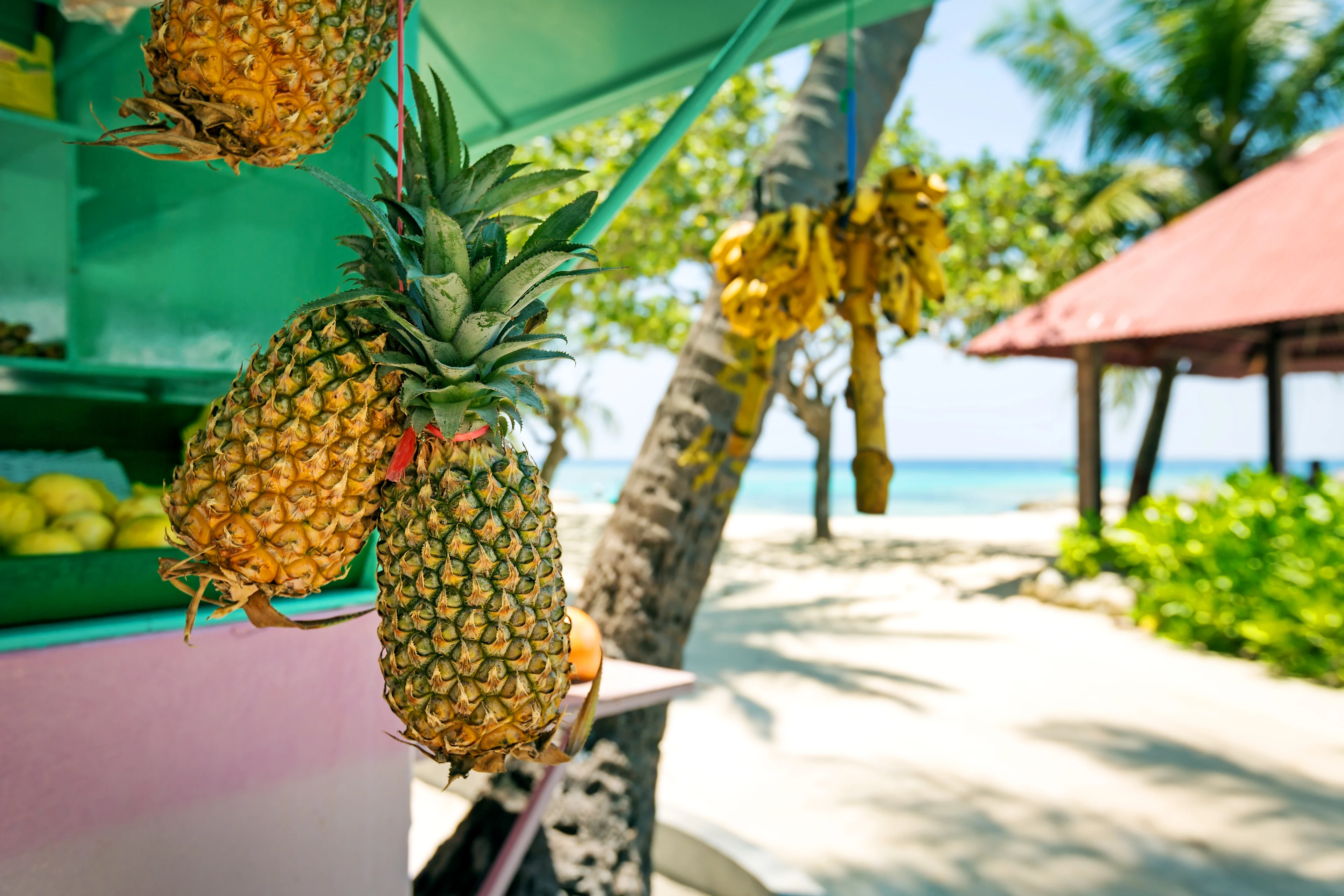 Ananas på stranden