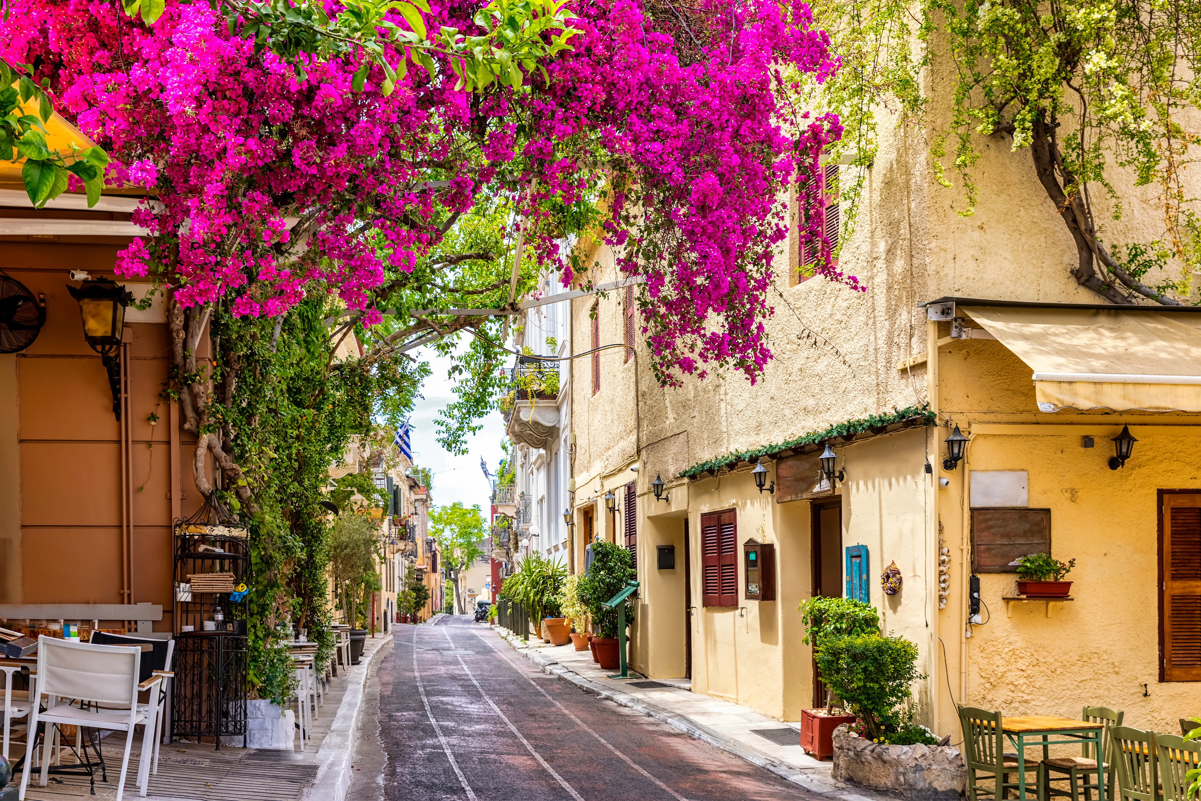 Charmerende gade i Athen omkranset af historiske bygninger og grønne områder. Farvestrålende bougainvilleaer hænger ud over den smalle brostensbelagte gade, mens serveringssteder og planter skaber en indbydende middelhavsatmosfære i byens gamle kvarterer.