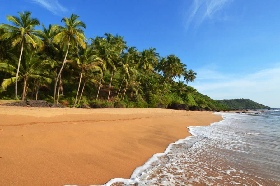 Strand i Goa, India