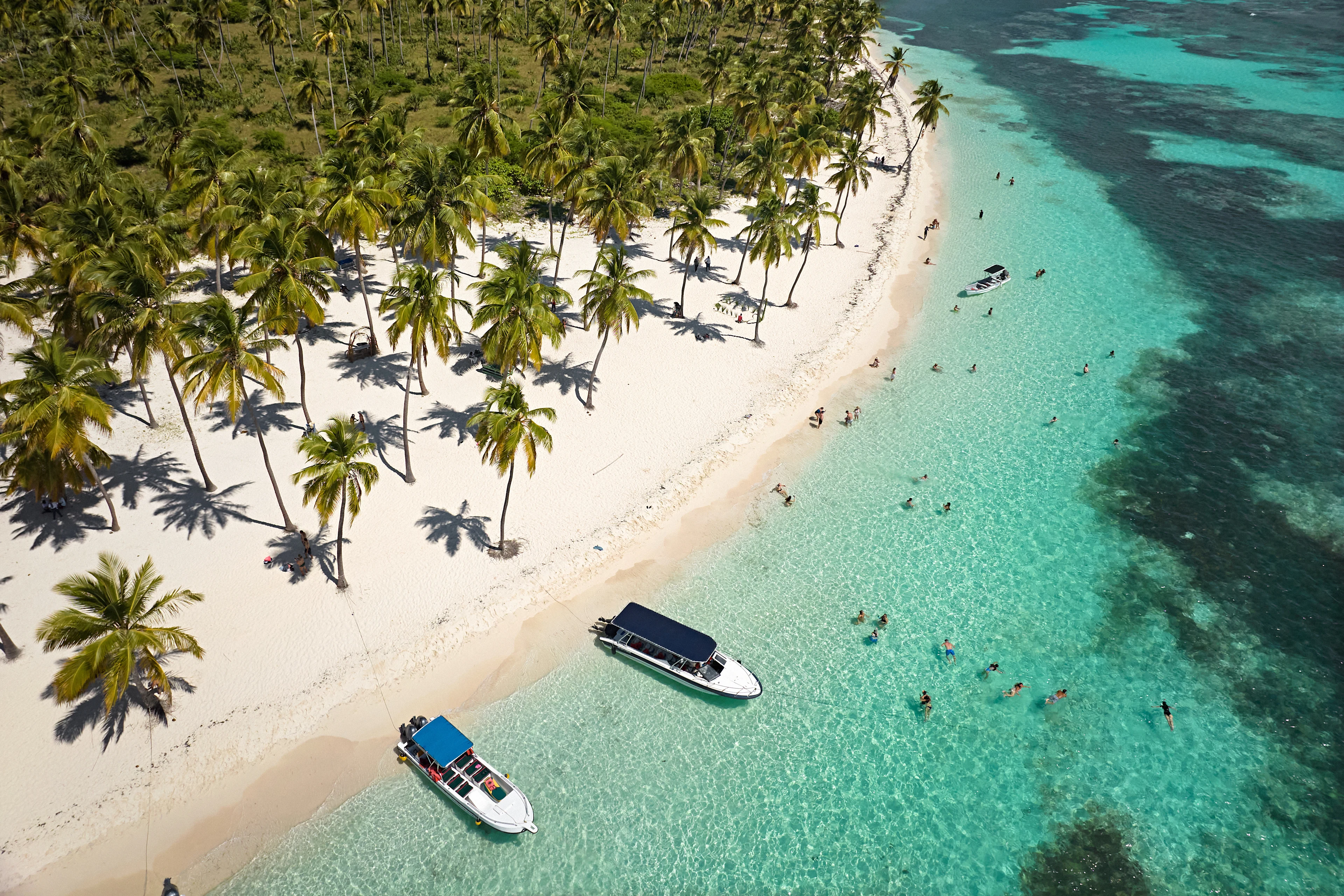 Snorkling och bad i kristallklart vatten utanför en palmkantad strand i Dominikanska republiken