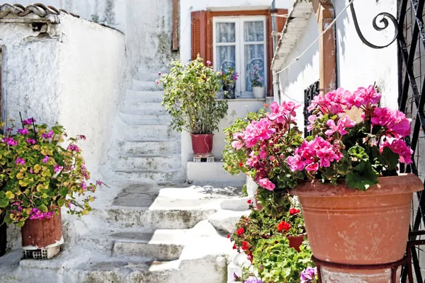 Athen blomster