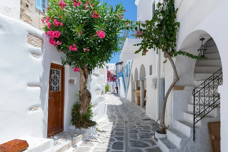 Mooie witgekalkte huizen op Paros