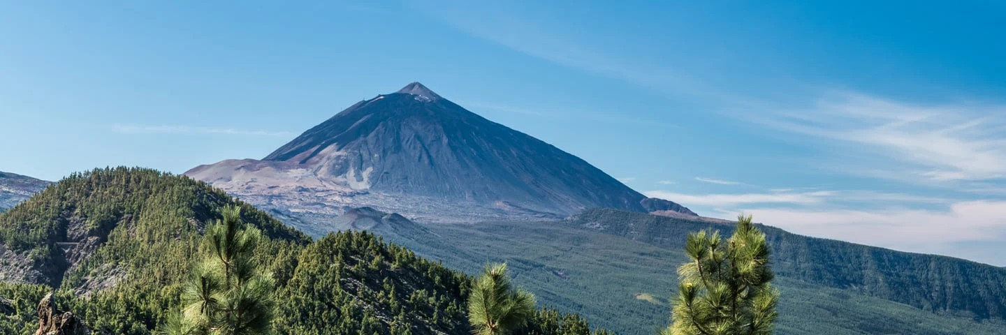 Utsikt over skog og fjell