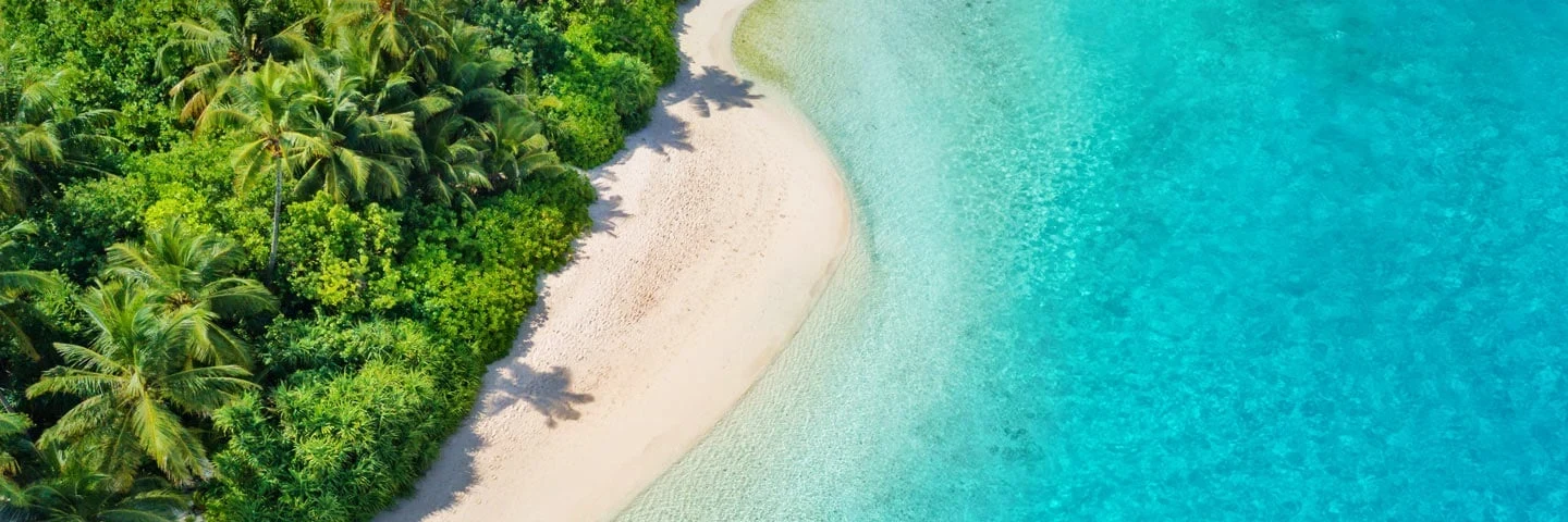 Tropisk strand med palmer