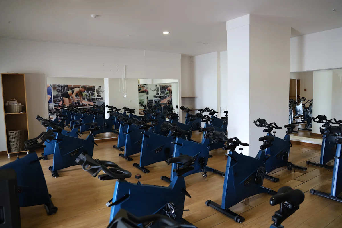 Spinningsykler 