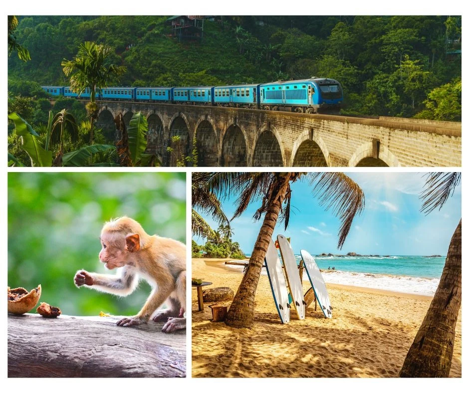Collage med motiv från Sri Lanka: tåg som passerar över en stenviadukt i djungellandskap, en apa vid en trädstam och surfbrädor på en sandstrand med palmer.