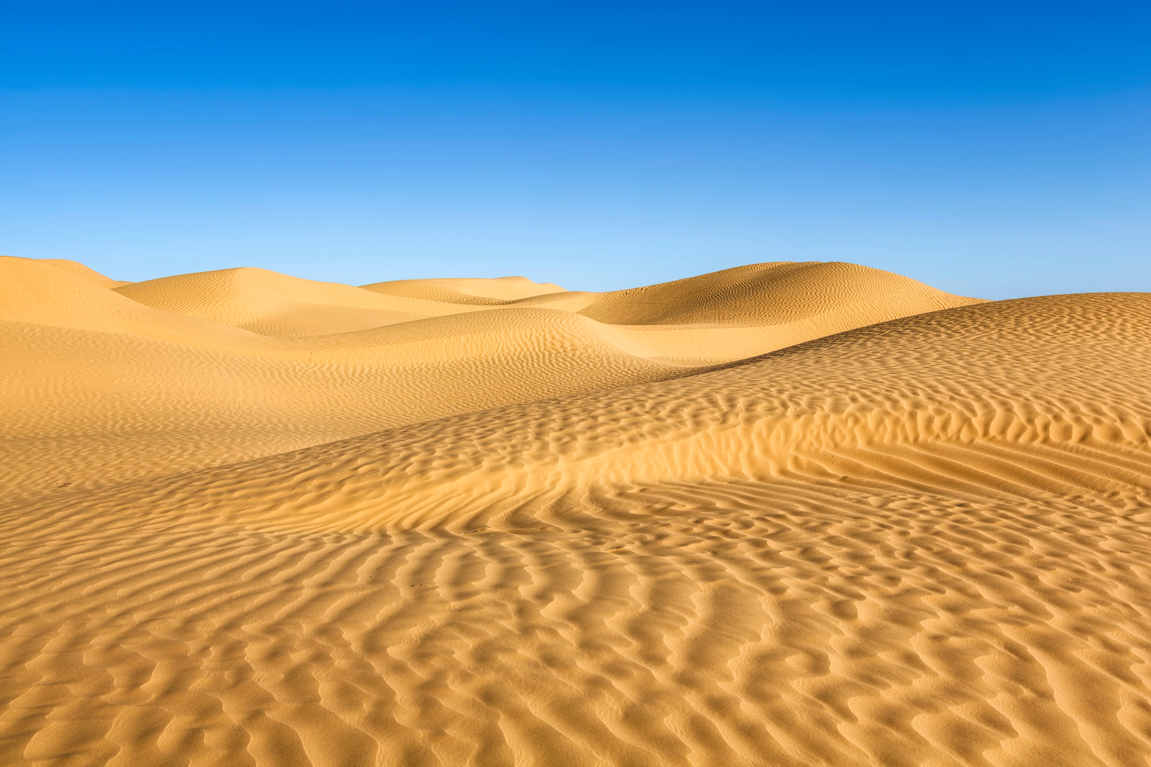 tunisien-sahara