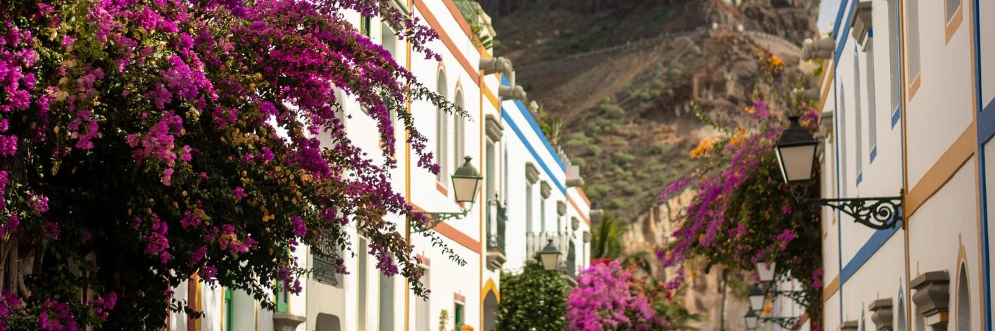 kanarieoarna lanzarote gata