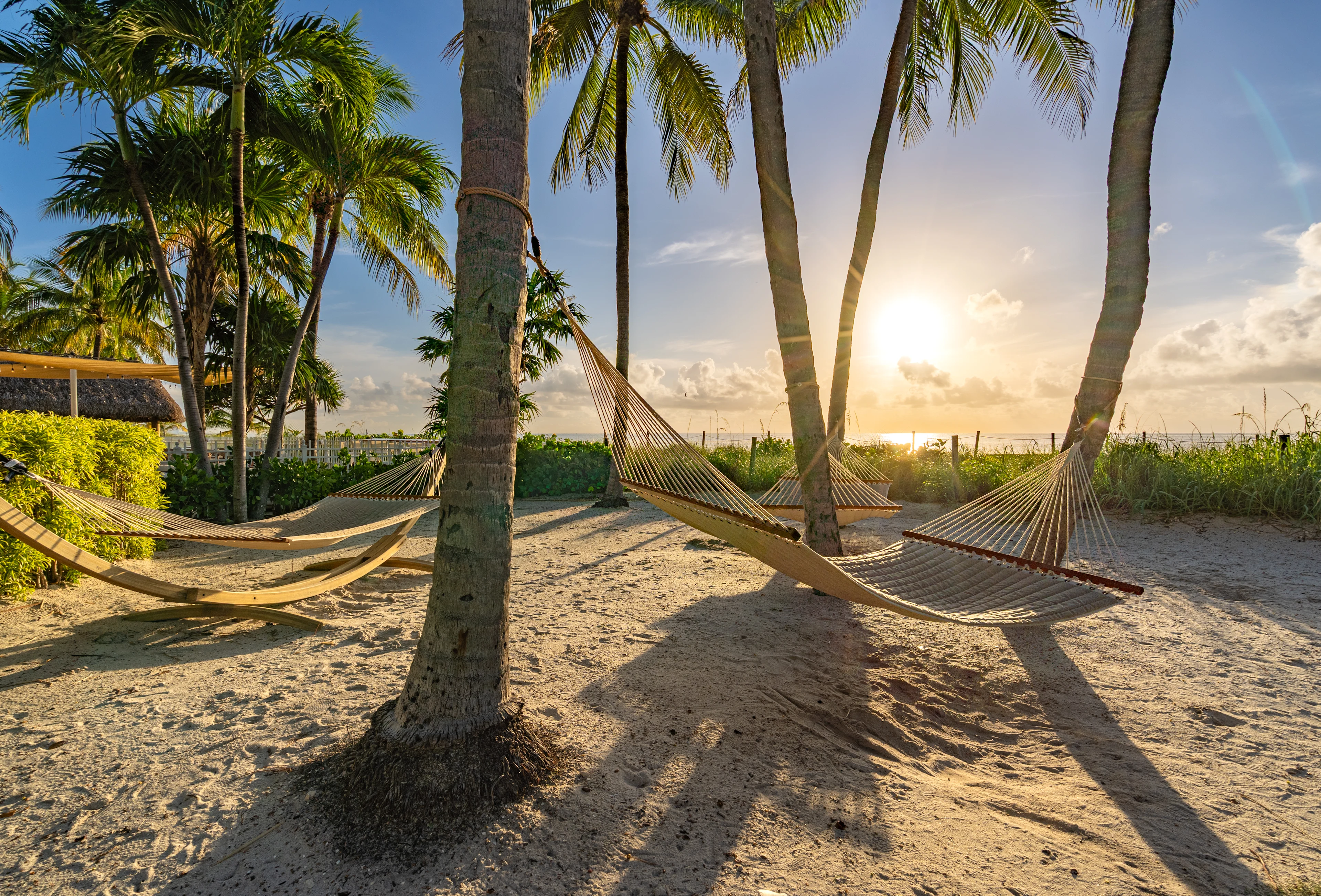 Riippumatot roikkuvat palmujen välissä Key Biscaynen rannalla Miamin ulkopuolella.